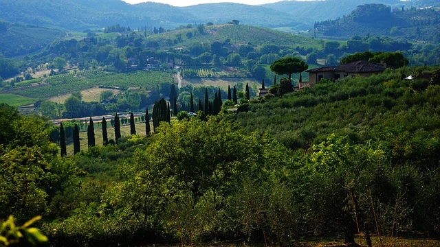 Paesaggio collinare toscano con cipressi, vigneti e borgo medievale tra le verdi colline.