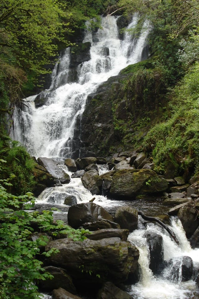 "Maestosa cascata Torc che scorre attraverso la fitta vegetazione verde del Parco Nazionale di Killarney in Irlanda, con acqua bianca che precipita su rocce muschiose in ambiente naturale incontaminato"